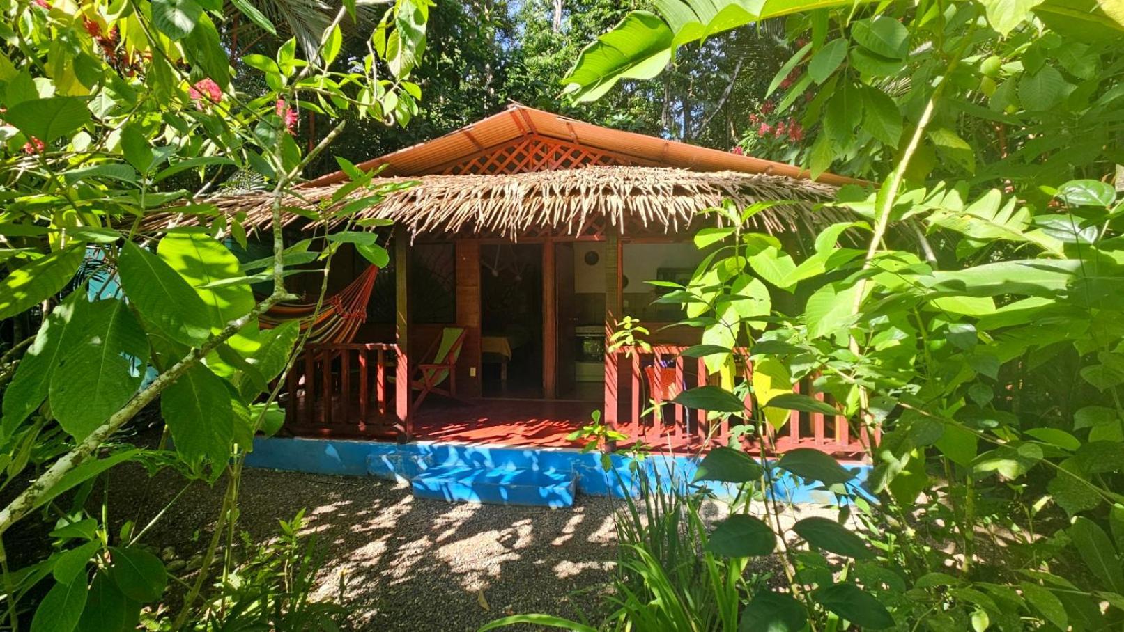 Casitas Las Flores Puerto Viejo de Talamanca Exterior photo