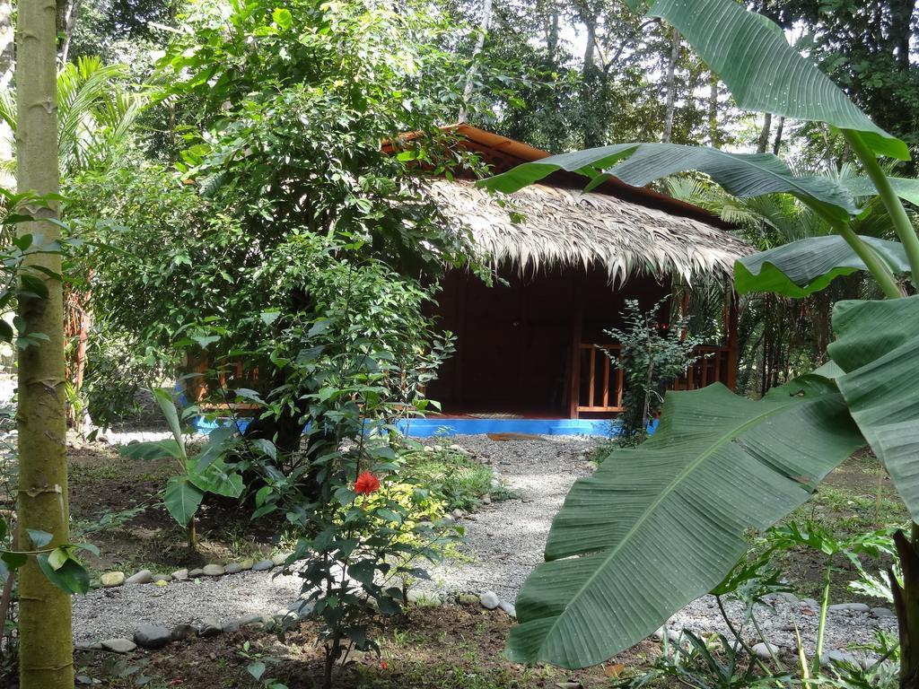 Casitas Las Flores Puerto Viejo de Talamanca Exterior photo